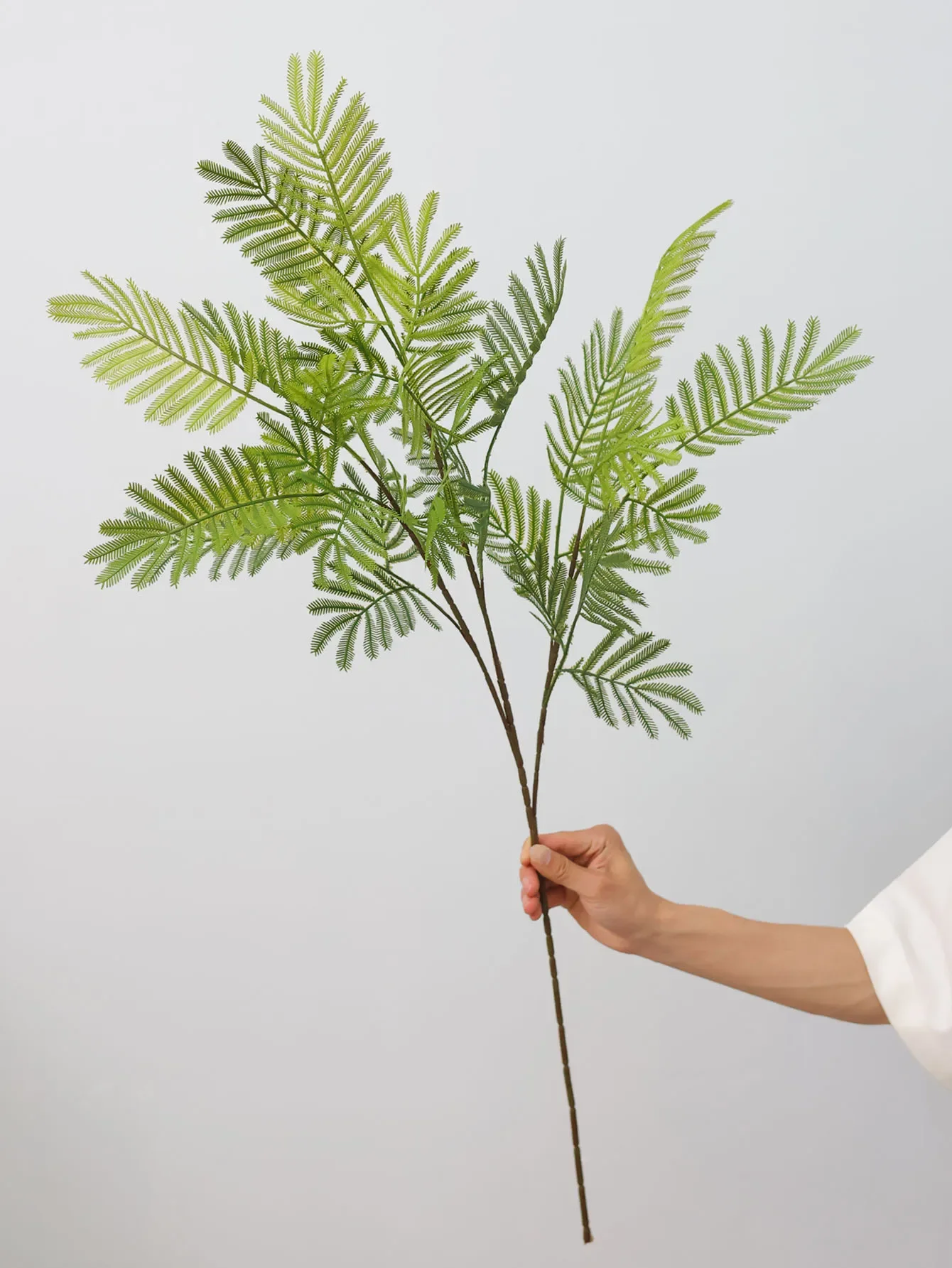1PC,Artificial Flower Green Plant Mimosa Herb Silicone Leaves,Wedding Decoration Studio Landscaping Hotel Flower Art Soft Deco
1PC,Artificial Flower Green Plant Mimosa Herb Silicone Leaves,Wedding Decoration Studio Landscaping Hotel Flower Art Soft Deco
