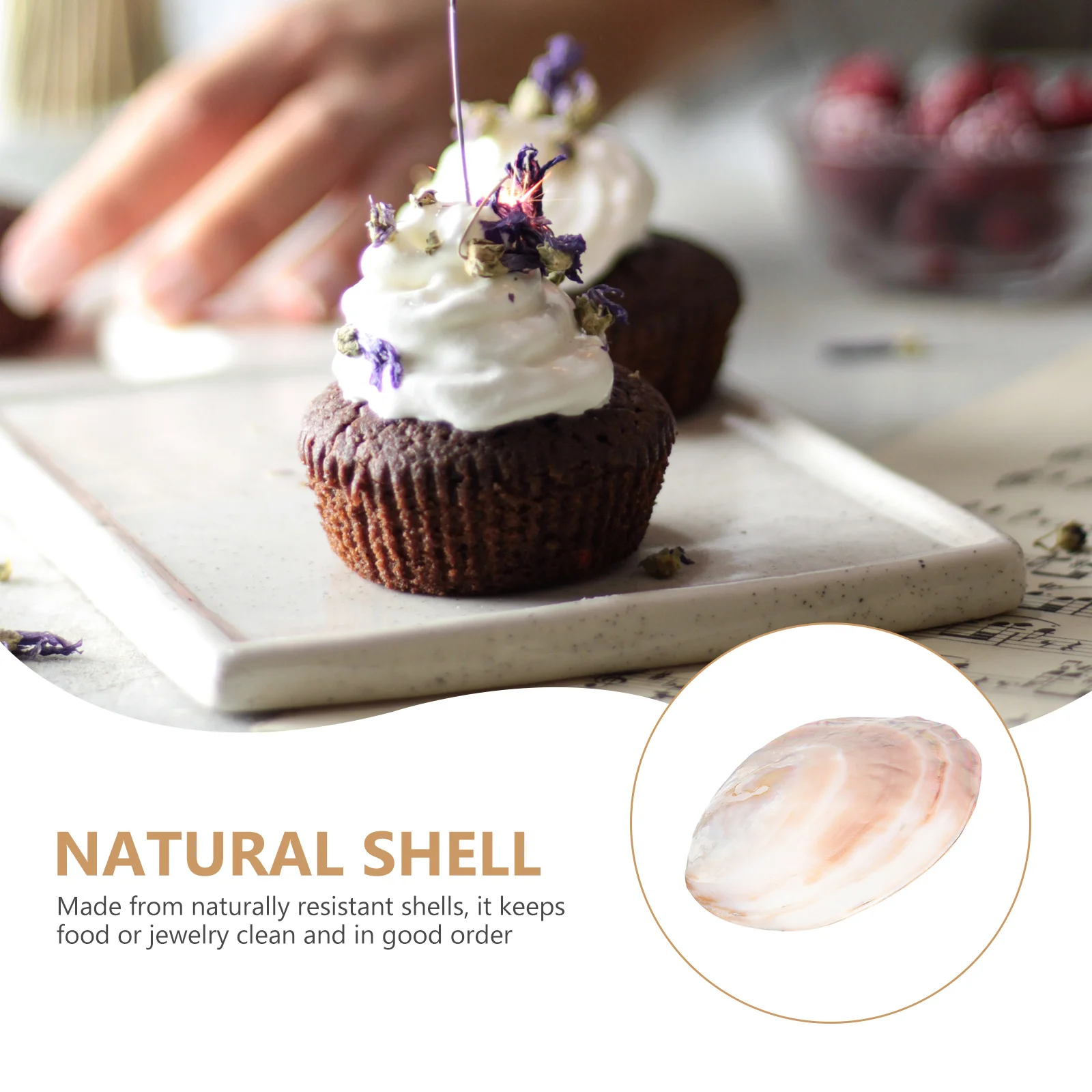 1Pcs Unique Shell Display Dish Natural Seashells Home Decor Food Tray Random Color Natural Seashells Decoration
1Pcs Unique Shell Display Dish Natural Seashells Home Decor Food Tray Random Color Natural Seashells Decoration