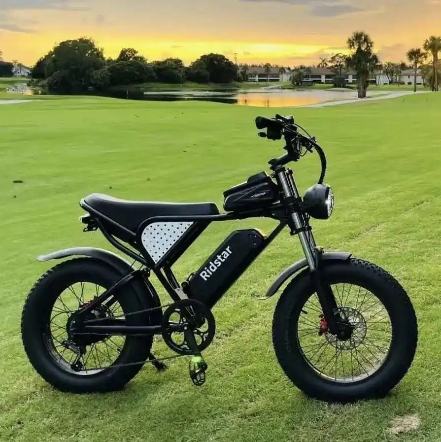 Q20 20 Inch EBike 48v 20Ah Fat Tire E-bik Electric Hybrid Mountain Dirt Bike Electric Bicycle for Adults
Q20 20 Inch EBike 48v 20Ah Fat Tire E-bik Electric Hybrid Mountain Dirt Bike Electric Bicycle for Adults