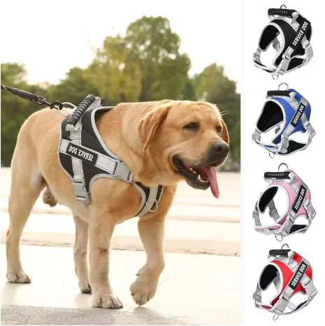 Service Dog Harness with Custom ID Tag Adjustable Dog Harness Dog Vest Leash for Large Dogs Outdoor Dogs Training Accessories
Service Dog Harness with Custom ID Tag Adjustable Dog Harness Dog Vest Leash for Large Dogs Outdoor Dogs Training Accessories
