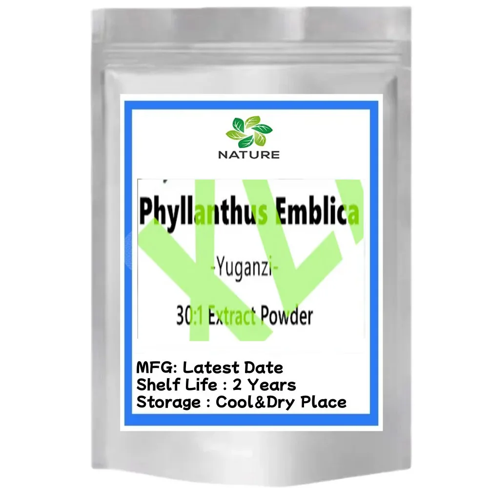 Phyllanthus Emblica 30:1 Customized Powder Refillable Bags Packaging For Production Material Factories
Phyllanthus Emblica 30:1 Customized Powder Refillable Bags Packaging For Production Material Factories