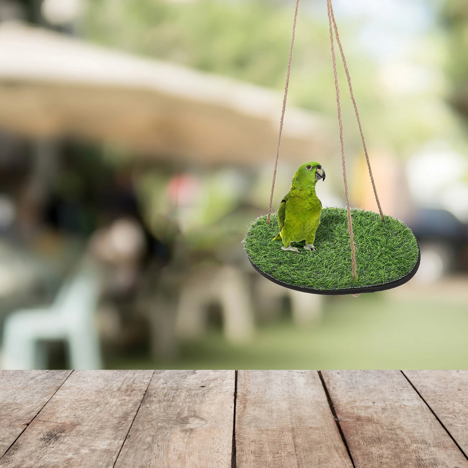 1pcs Hammock Bird Bed Cage Bearded Dragon Gecko Climbing Pet Toys Parrot Perch Lizard Swing Artificial Grass Small Pets Reptile
1pcs Hammock Bird Bed Cage Bearded Dragon Gecko Climbing Pet Toys Parrot Perch Lizard Swing Artificial Grass Small Pets Reptile