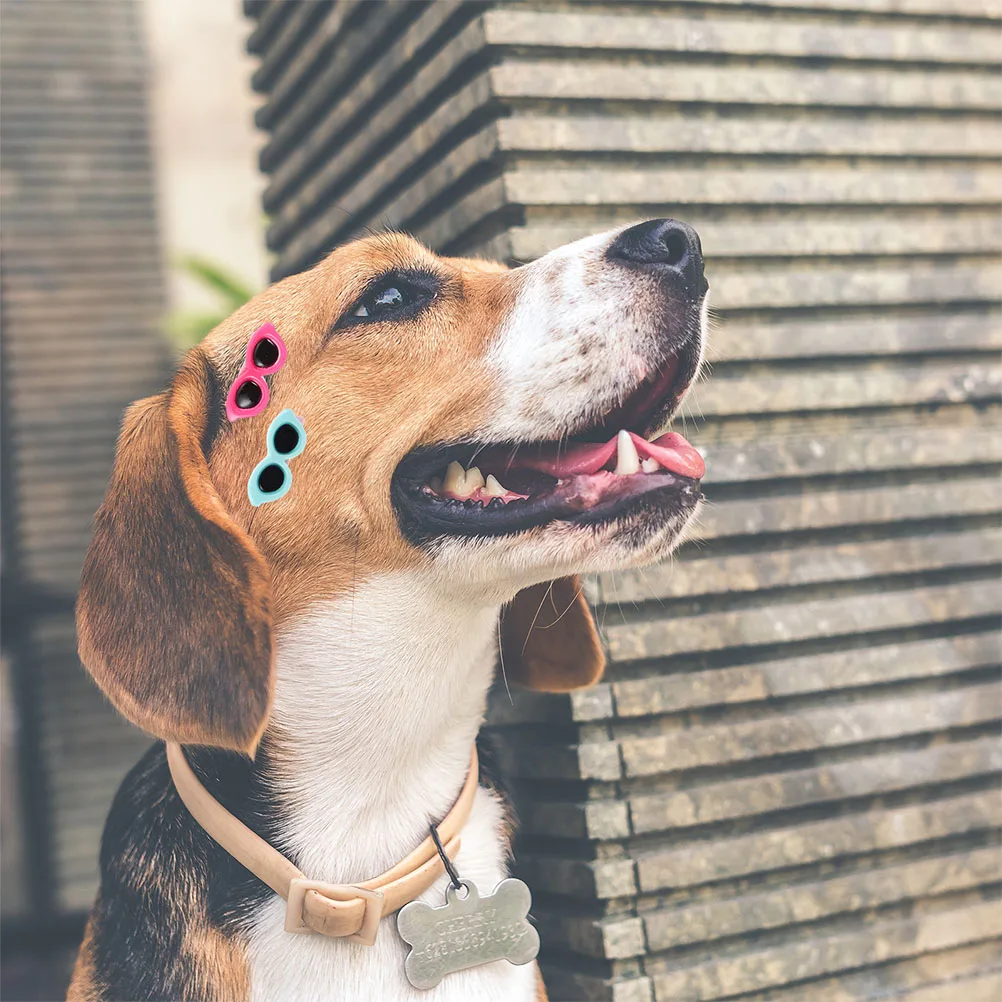 Stylish Sunglass Hairpins For Cat for Dog Cat Decorative Daily Wear Lovely Pet Hairpins Various Colors Plastic Claw
Stylish Sunglass Hairpins For Cat for Dog Cat Decorative Daily Wear Lovely Pet Hairpins Various Colors Plastic Claw