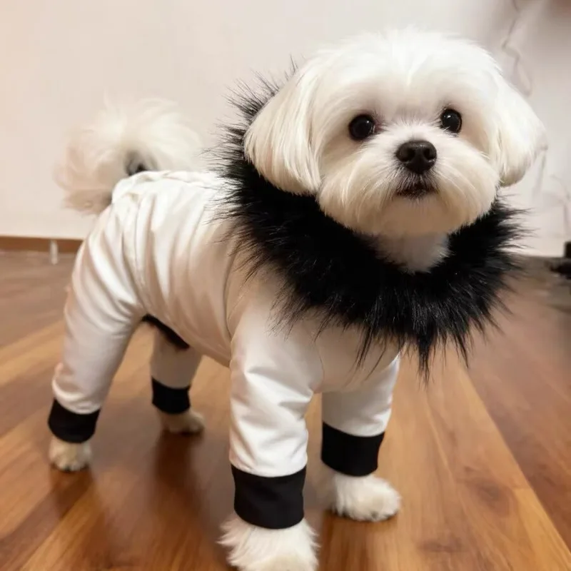 Зимняя одежда для собак на 4 ножках с хлопковой подкладкой и капюшоном, уличное утолщенное съемное пальто для пирогов, комфортное водонепроницаемое пальто для борзых
Зимняя одежда для собак на 4 ножках с хлопковой подкладкой и капюшоном, уличное утолщенное съемное пальто для пирогов, комфортное водонепроницаемое пальто для борзых