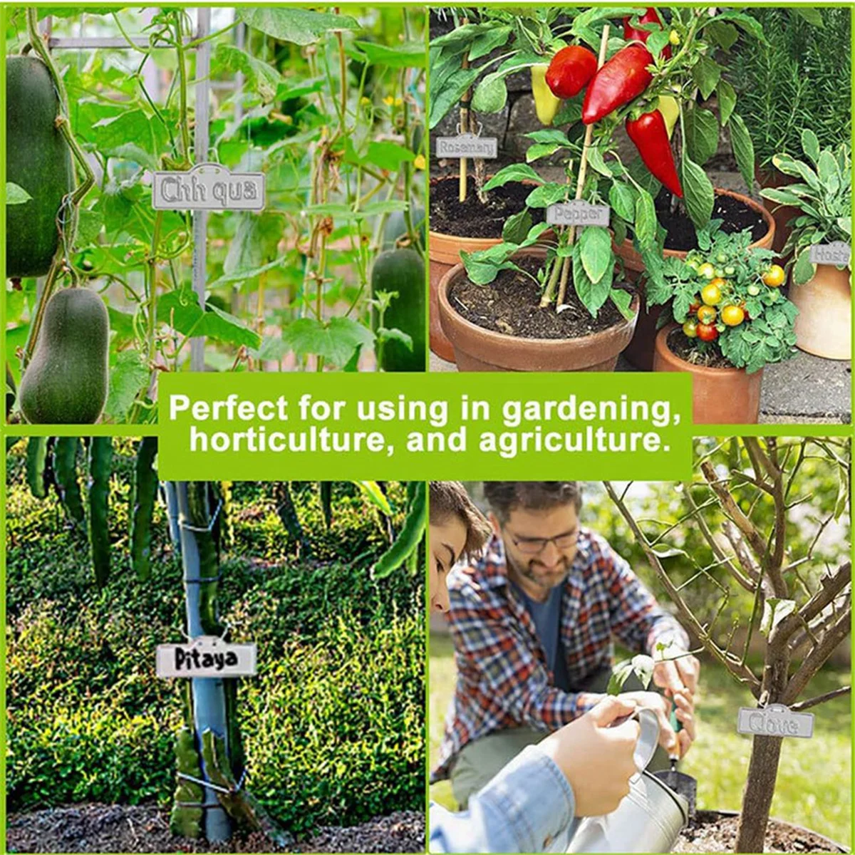 Reliable Metal Plant Labels, Metal Plant Tags, Tree Tags, Metal Plant Tags for Outdoor Garden Waterproof Metal Tags
Reliable Metal Plant Labels, Metal Plant Tags, Tree Tags, Metal Plant Tags for Outdoor Garden Waterproof Metal Tags