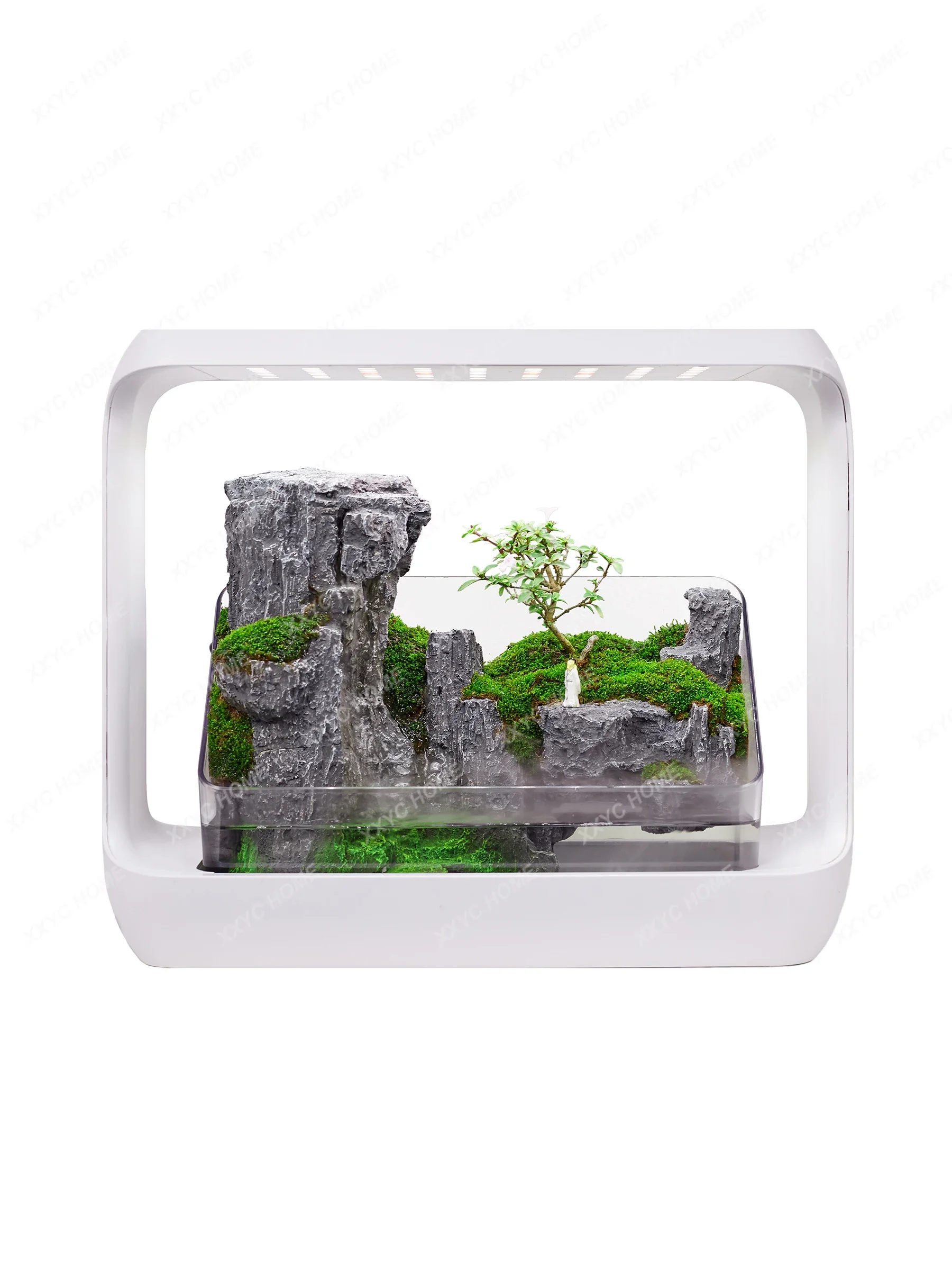 Intelligent Amphibious Rainforest Ecological Fish Tank Sky City Water Small Plant Micro Landscape
Intelligent Amphibious Rainforest Ecological Fish Tank Sky City Water Small Plant Micro Landscape