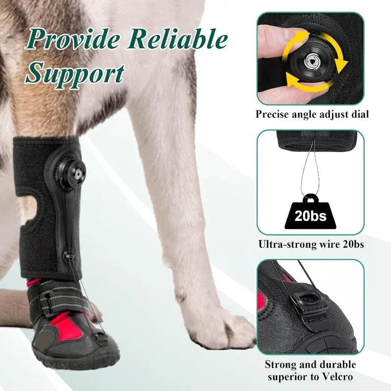 Senior Dog Drop Foot Brace, Rubber Sole Corrective Shoe, Toe Lifter Paw Protector
Senior Dog Drop Foot Brace, Rubber Sole Corrective Shoe, Toe Lifter Paw Protector