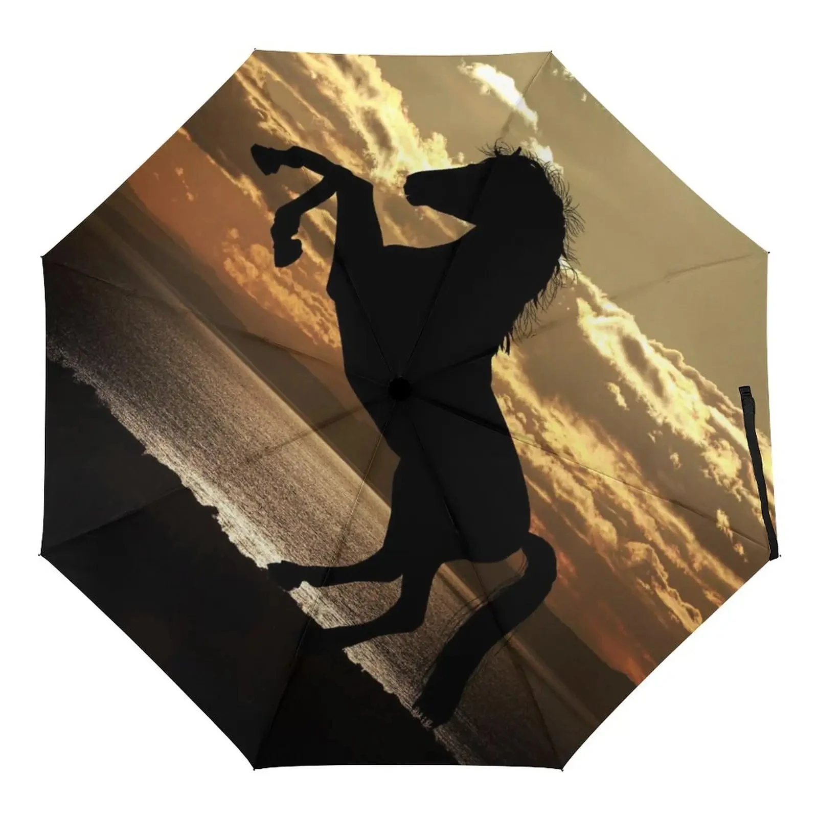 Зонты от галлопающих лошадей, дождевых солнцезащитных зонтов, диких фермерских животных, лошадей, легкий ветрозащитный складной дорожный зонт для взрослых, подарок для подростков
Зонты от галлопающих лошадей, дождевых солнцезащитных зонтов, диких фермерских животных, лошадей, легкий ветрозащитный складной дорожный зонт для взрослых, подарок для подростков