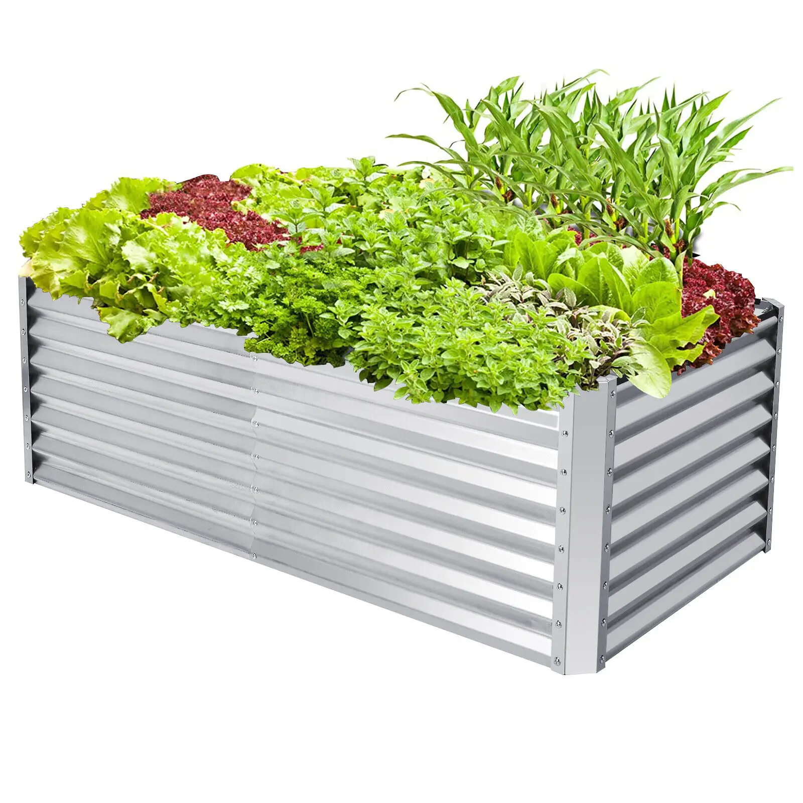 Raised Garden Bed Large Metal Planter Box Kit for Vegetable Herb 70" x 35" x 24"
Raised Garden Bed Large Metal Planter Box Kit for Vegetable Herb 70" x 35" x 24"
