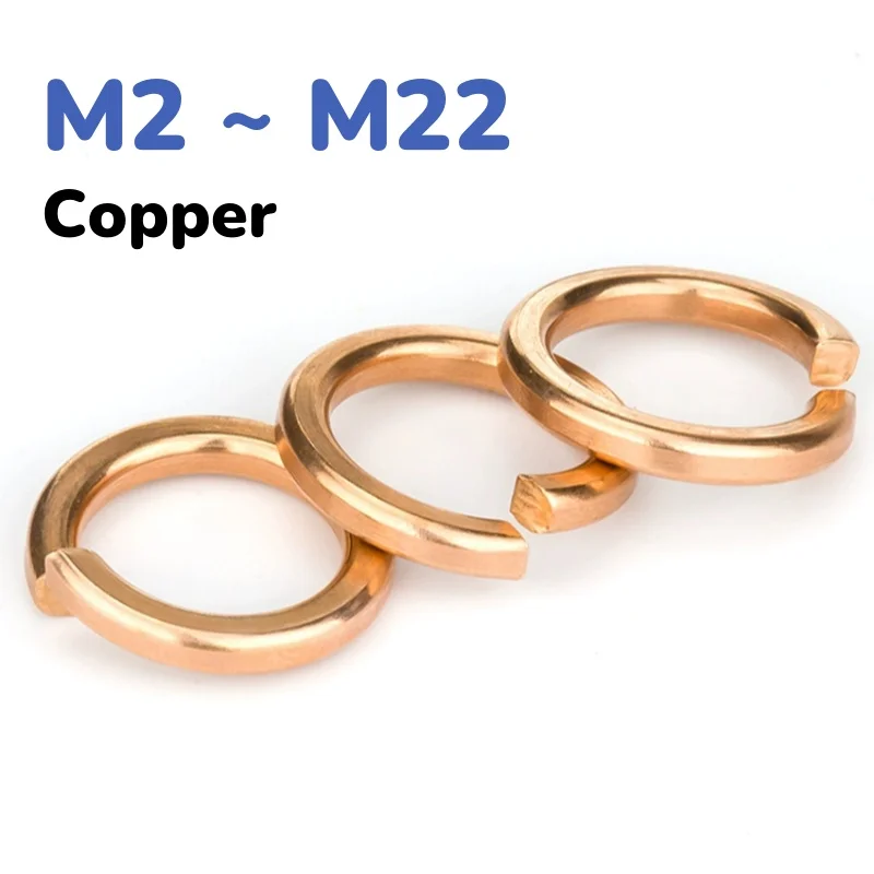 M2 M2.5 M3 M4 M5 M6 M8 M10 M12 ~ M22 Brass Bronze Copper Spring Washer Elastic Gasket Anti-loose
M2 M2.5 M3 M4 M5 M6 M8 M10 M12 ~ M22 Brass Bronze Copper Spring Washer Elastic Gasket Anti-loose