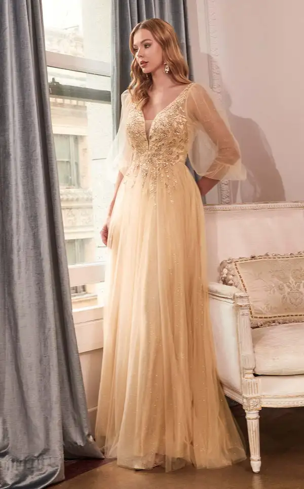 Customized Classic Tulle Applique Sequined Draped A-line V-neck Long Dresses Bespoke Occasion Dresses Exquisite Sparkle Fashion
Customized Classic Tulle Applique Sequined Draped A-line V-neck Long Dresses Bespoke Occasion Dresses Exquisite Sparkle Fashion