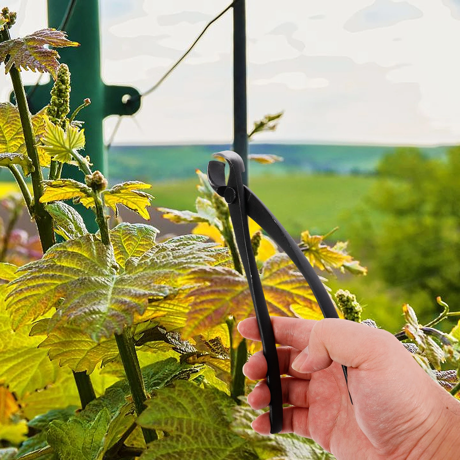 Dismantling Wires Plier Round Branch Cutter Electrical Cutters Bonsai Trimming Tool Carbon Steel Cable Cutting Gardening
Dismantling Wires Plier Round Branch Cutter Electrical Cutters Bonsai Trimming Tool Carbon Steel Cable Cutting Gardening