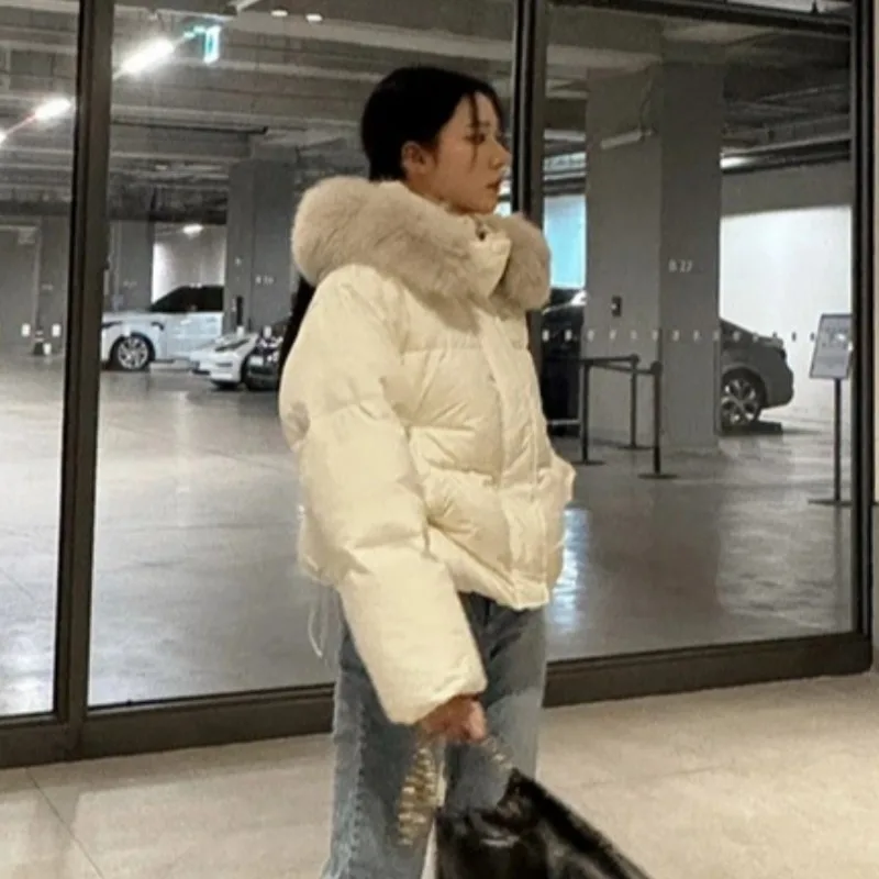 Sweet Hot Girl Fur Collar Hooded Cotton Jacket Short Coat Women's Winter Long-sleeved Loose Cotton Jacket Fashion Female Clothes
Sweet Hot Girl Fur Collar Hooded Cotton Jacket Short Coat Women's Winter Long-sleeved Loose Cotton Jacket Fashion Female Clothes