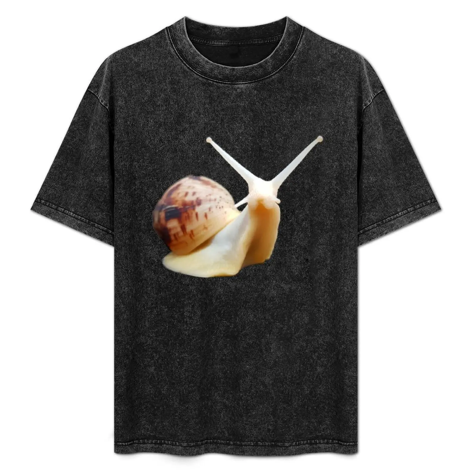 albino giant african land snail photo T-Shirt Essential Solid Color T-Shirt
albino giant african land snail photo T-Shirt Essential Solid Color T-Shirt