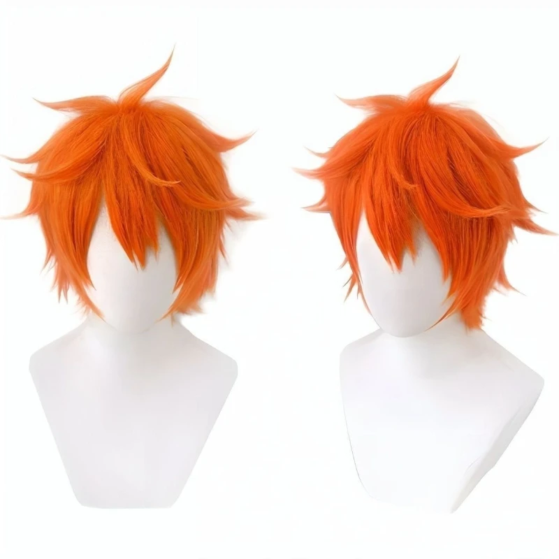 2D Anime Cosplay Wig Easy Styling Cos Hair for Comic Exhibition Role Play
2D Anime Cosplay Wig Easy Styling Cos Hair for Comic Exhibition Role Play