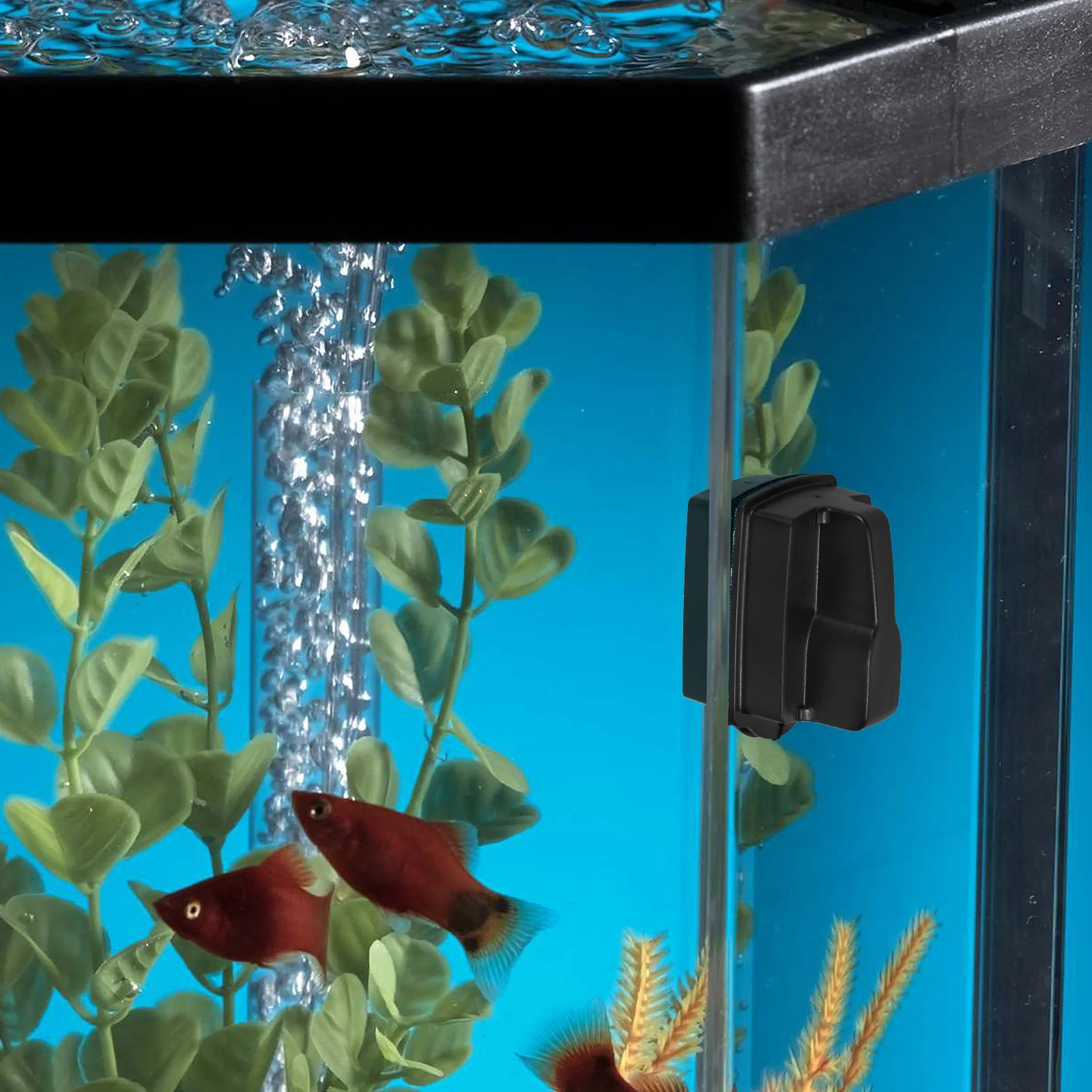 Fish Tank Cleaning Brush Dual Sided Magnetic Scrubber Soft Ergonomic High Efficiency Dirt Removal Hands Free Mini Cleaner
Fish Tank Cleaning Brush Dual Sided Magnetic Scrubber Soft Ergonomic High Efficiency Dirt Removal Hands Free Mini Cleaner