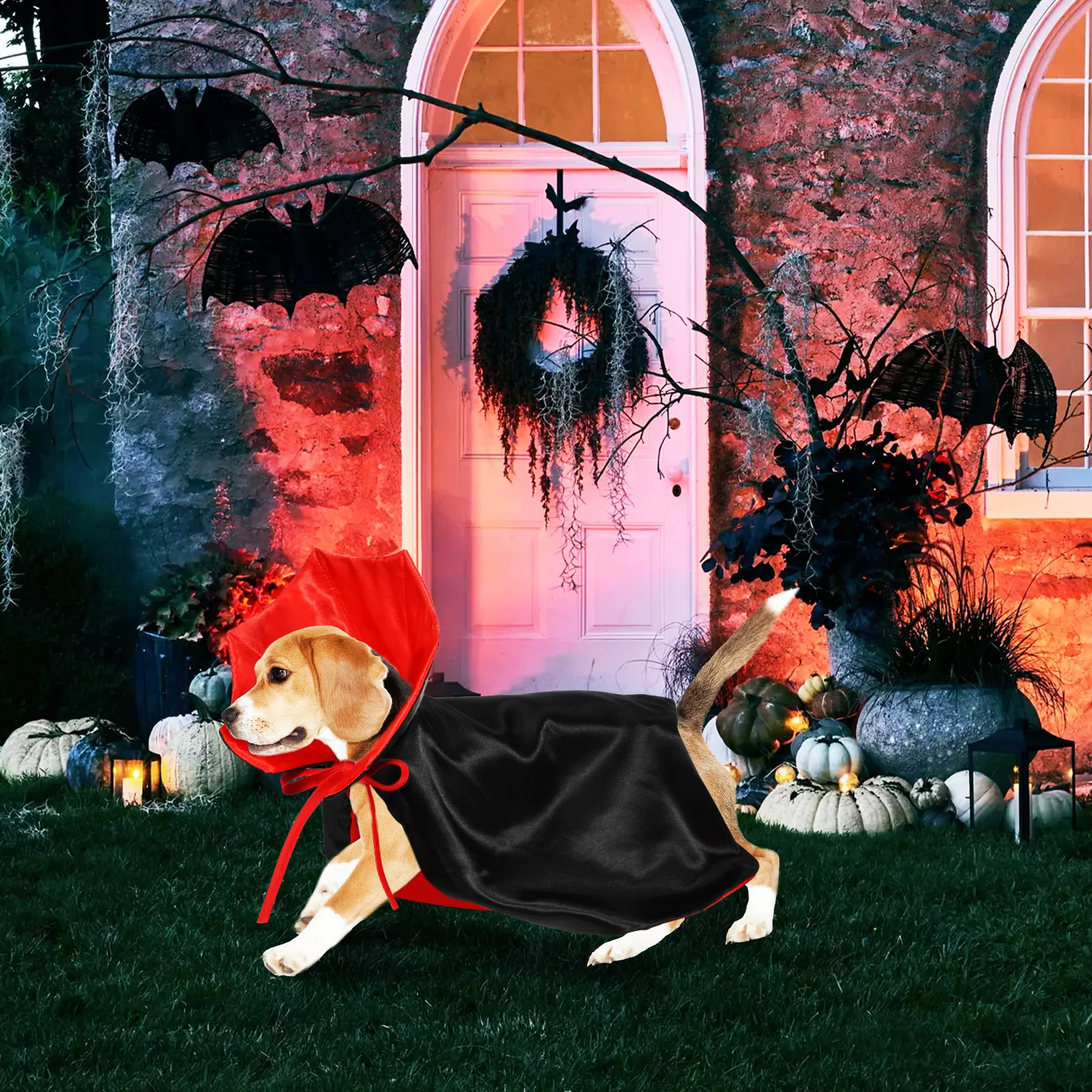 Dog Halloween Cloak: Pet Devil Cape Cosplay Apparel Party Costume - Adjustable Vampire Cloak for Small & Medium Dogs & Cats -
Dog Halloween Cloak: Pet Devil Cape Cosplay Apparel Party Costume - Adjustable Vampire Cloak for Small & Medium Dogs & Cats -