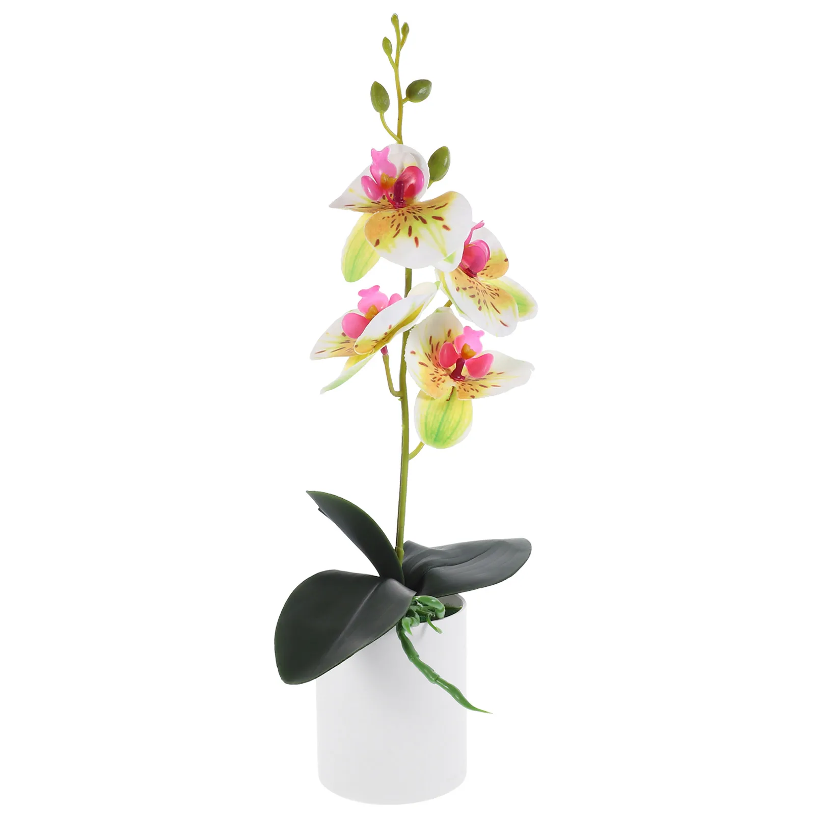 Artificial Potted Orchids Colorful Realistic Flowers Home Decor Desktop Plants Fake Bonsai Spring Ornament
Artificial Potted Orchids Colorful Realistic Flowers Home Decor Desktop Plants Fake Bonsai Spring Ornament