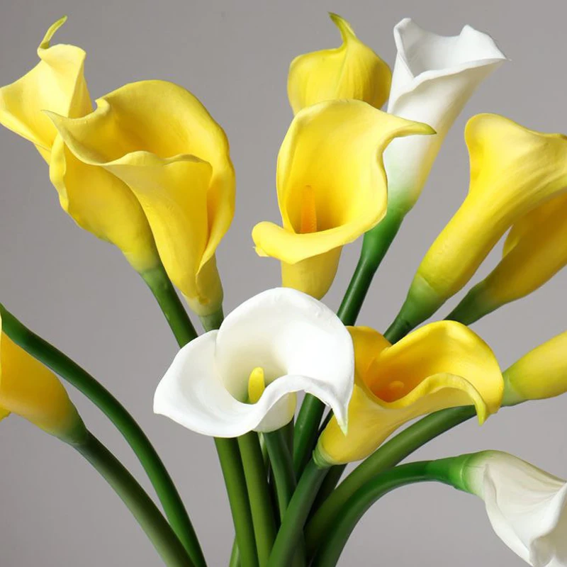 6pc White Calla Lily Artificial Flower Calla Lily Like Real with Stem Bridal Bouquet Wedding Flower Arrangement Deco Home Spring
6pc White Calla Lily Artificial Flower Calla Lily Like Real with Stem Bridal Bouquet Wedding Flower Arrangement Deco Home Spring