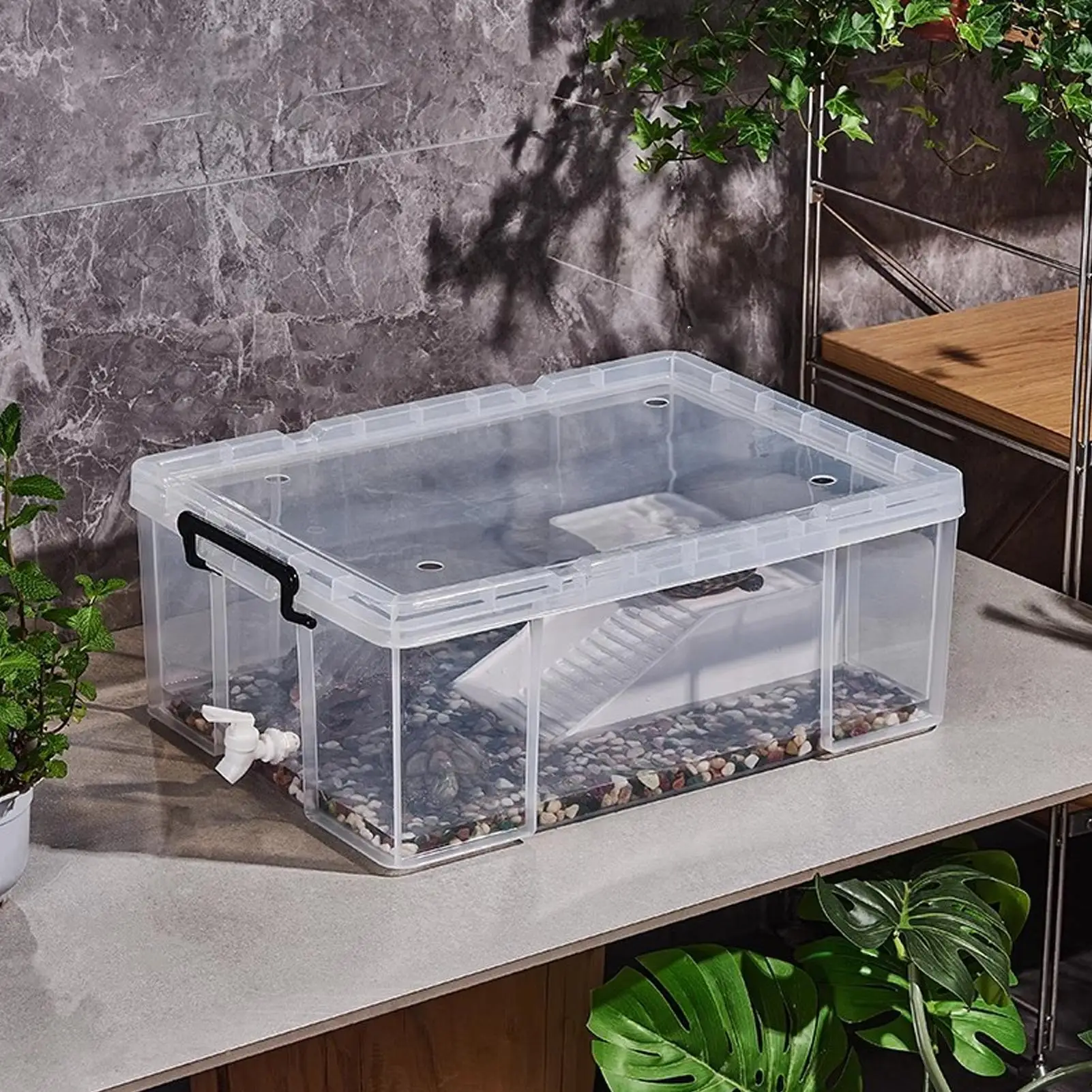 Tortoise Habitat Box Clear Visual Design Sturdy Structure Comfortable Living Space Ideal Breeding Case For Indoor Pet Tortoise
Tortoise Habitat Box Clear Visual Design Sturdy Structure Comfortable Living Space Ideal Breeding Case For Indoor Pet Tortoise