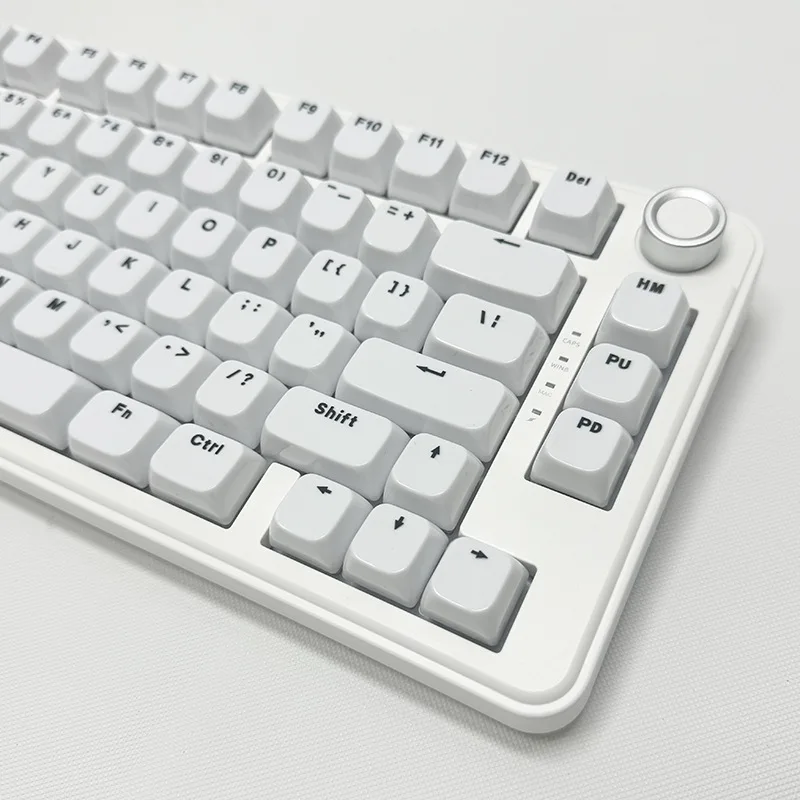 Minimal white keycap MDA height small full set of 115 keys side engraved characters PC translucent light
Minimal white keycap MDA height small full set of 115 keys side engraved characters PC translucent light