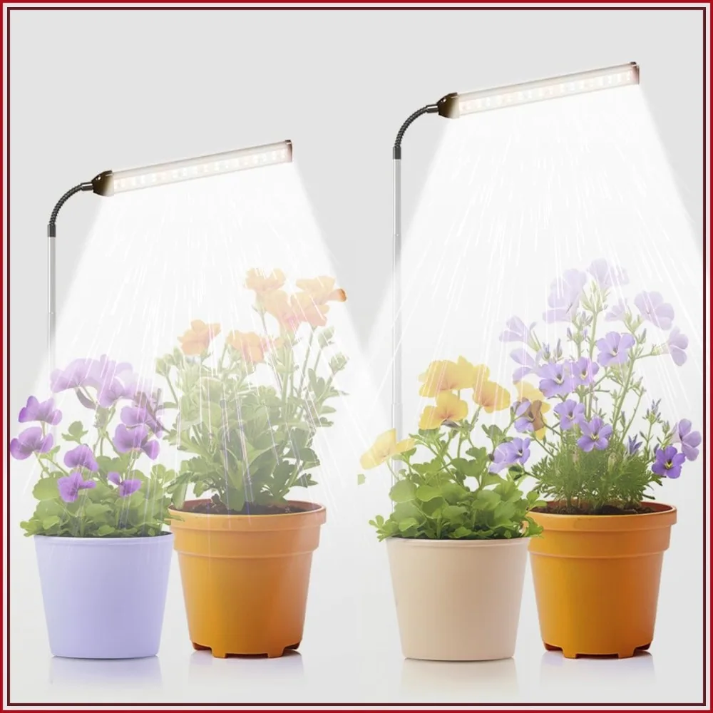 Full Spectrum LED Grow Light with Timer, 5 Dimmable Levels, Flexible Gooseneck, 2 Pack for Indoor Plants
Full Spectrum LED Grow Light with Timer, 5 Dimmable Levels, Flexible Gooseneck, 2 Pack for Indoor Plants