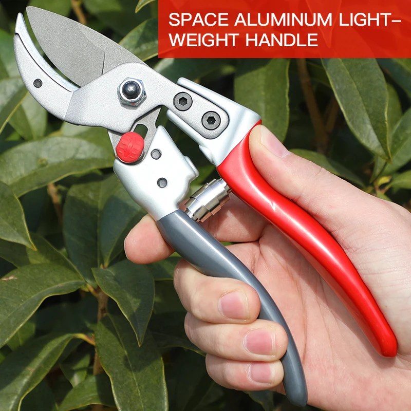 Gardening Pruning Fruit Tree Pruning Shears Branch Scissors Gardening Pruning Branches Garden Labor-saving Shears
Gardening Pruning Fruit Tree Pruning Shears Branch Scissors Gardening Pruning Branches Garden Labor-saving Shears