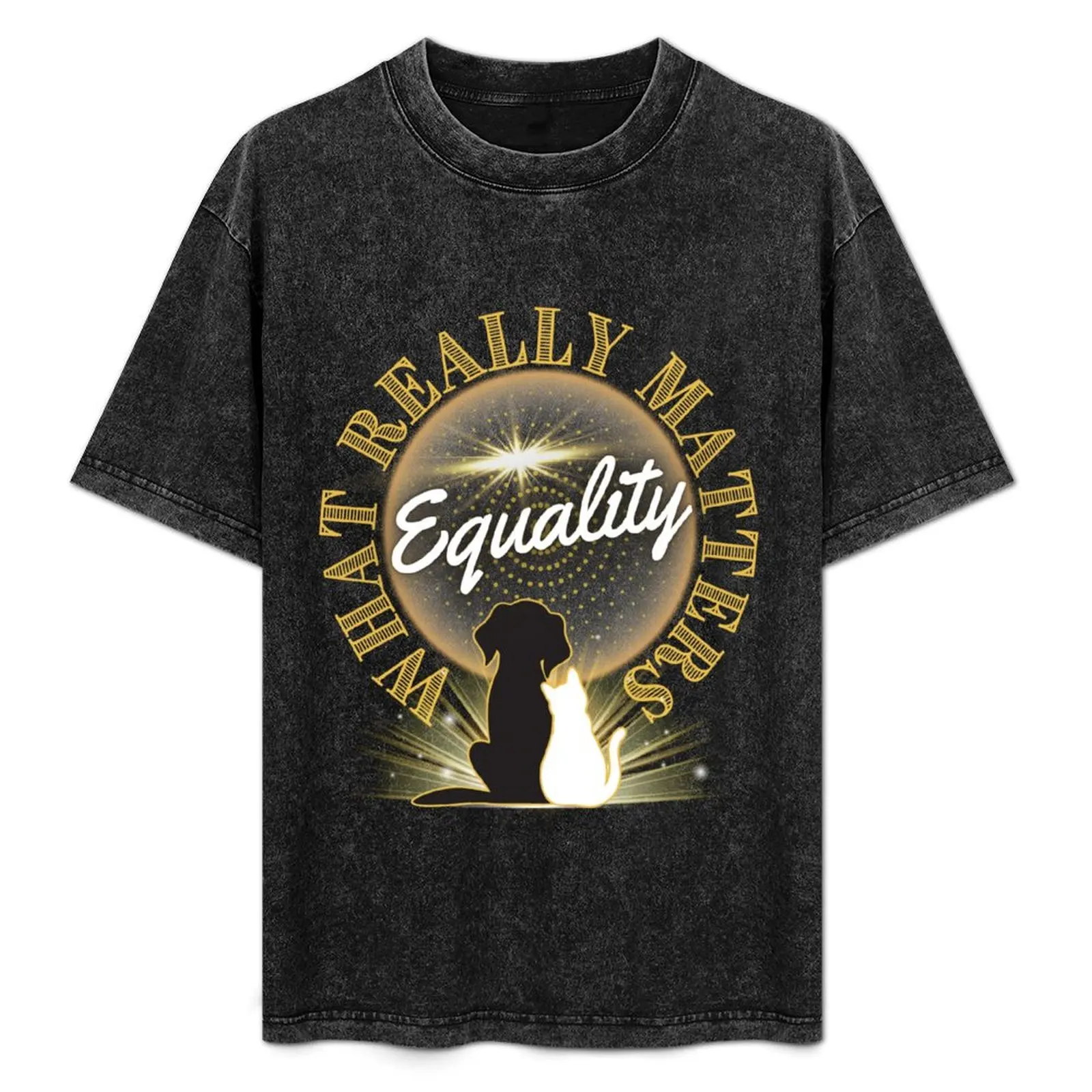 What Really Matters T-Shirt Daily Wear Plain Short Sleeve Shirt
What Really Matters T-Shirt Daily Wear Plain Short Sleeve Shirt