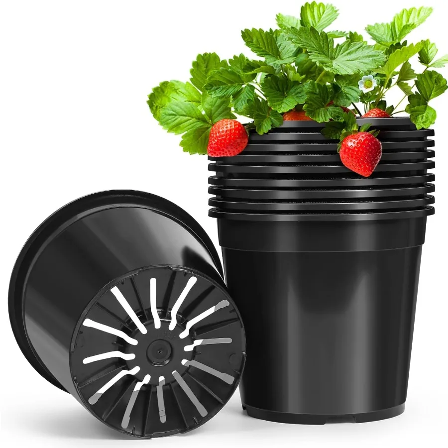 10 Pack1 Gallon Pots for Plants 1 Gallon Plastic Nursery Pot with Drainage Holes Sturdy Plastic Plant Pots for Nursery Garden F
10 Pack1 Gallon Pots for Plants 1 Gallon Plastic Nursery Pot with Drainage Holes Sturdy Plastic Plant Pots for Nursery Garden F