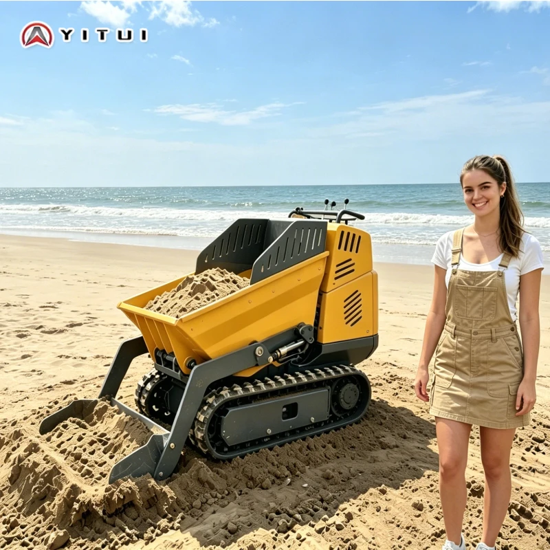 Portable Mini Crawler Dumper Light Body Easy Start Good Climbing Performance For Narrow Space Material Handling Customized
Portable Mini Crawler Dumper Light Body Easy Start Good Climbing Performance For Narrow Space Material Handling Customized