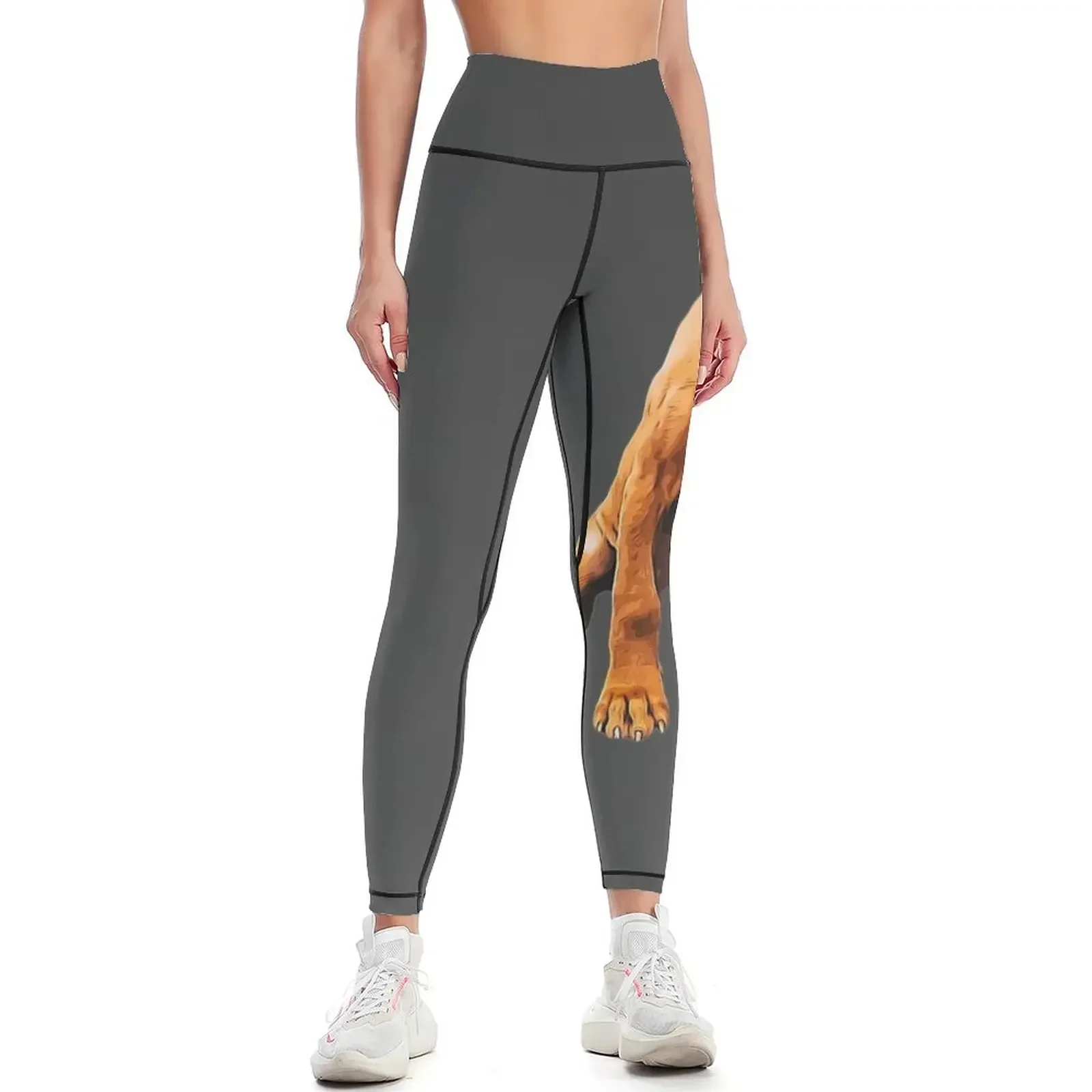 Vizsla Puppy - The Hungarian Vizsla Leggings Sports female sports for gym's clothing Womens Leggings
Vizsla Puppy - The Hungarian Vizsla Leggings Sports female sports for gym's clothing Womens Leggings