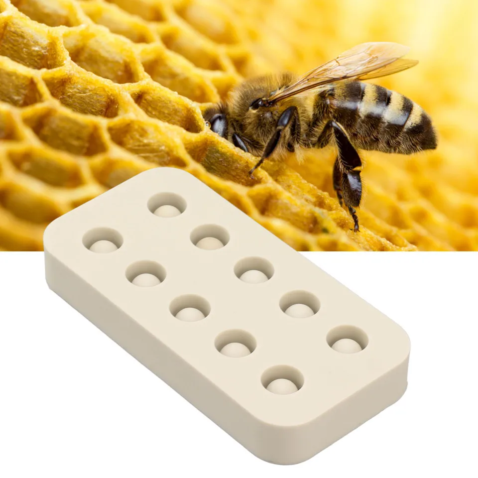 Beekeeping Tool New Used Queen Cell Cups Making Wax Mold Silicone Beeswax Queen Grafting Cups Beekeeping Tool for Farm
Beekeeping Tool New Used Queen Cell Cups Making Wax Mold Silicone Beeswax Queen Grafting Cups Beekeeping Tool for Farm
