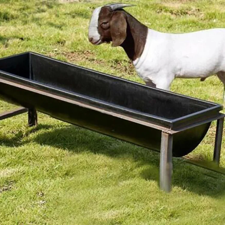 Custom Goat Black Plastic Troughs Sheep Feeding Trough And Drinking Trough
Custom Goat Black Plastic Troughs Sheep Feeding Trough And Drinking Trough