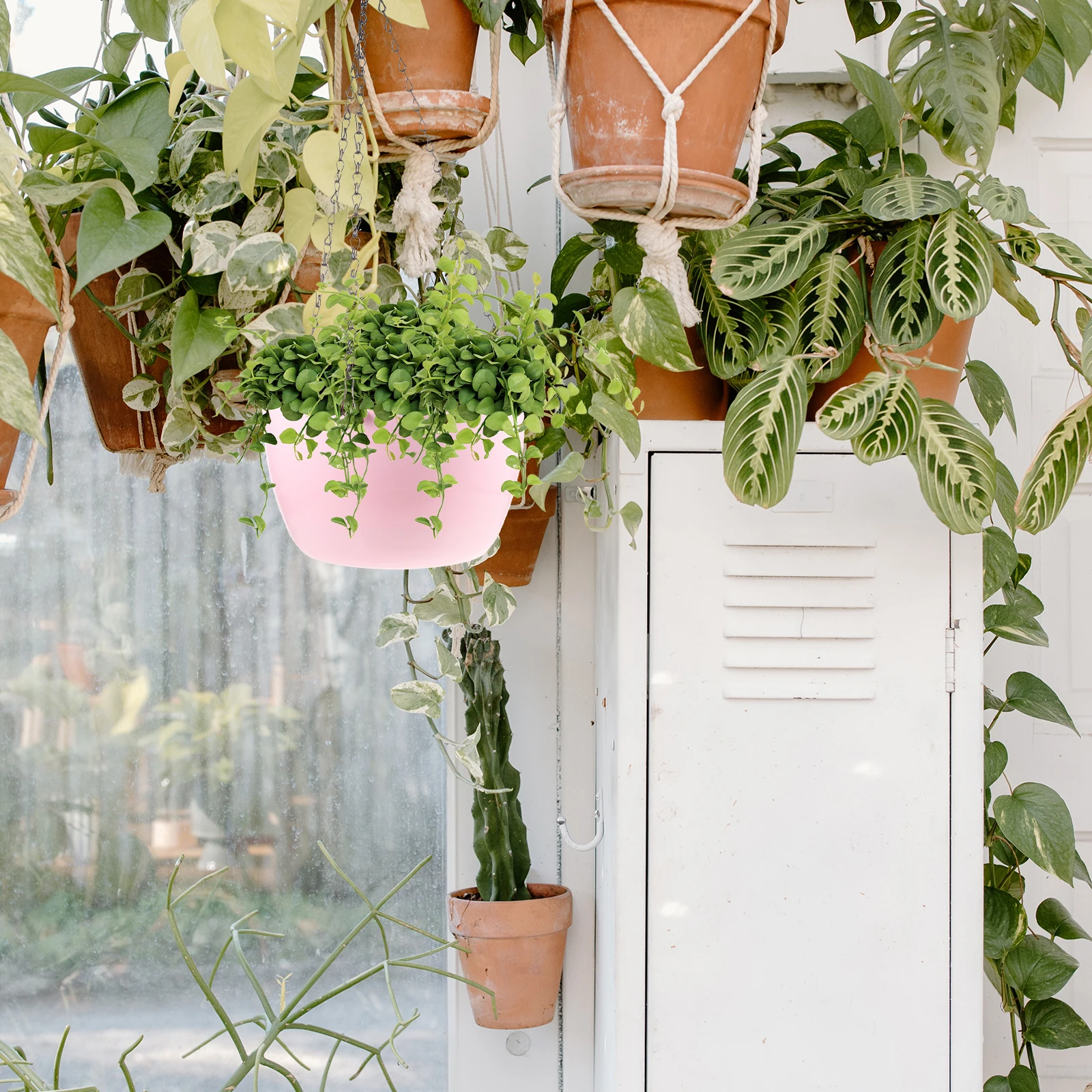 Hanging Plant Pot PP Iron Material Balcony Flower Planter Hydroponics Vase Small chid Plants Promote Growth
Hanging Plant Pot PP Iron Material Balcony Flower Planter Hydroponics Vase Small chid Plants Promote Growth