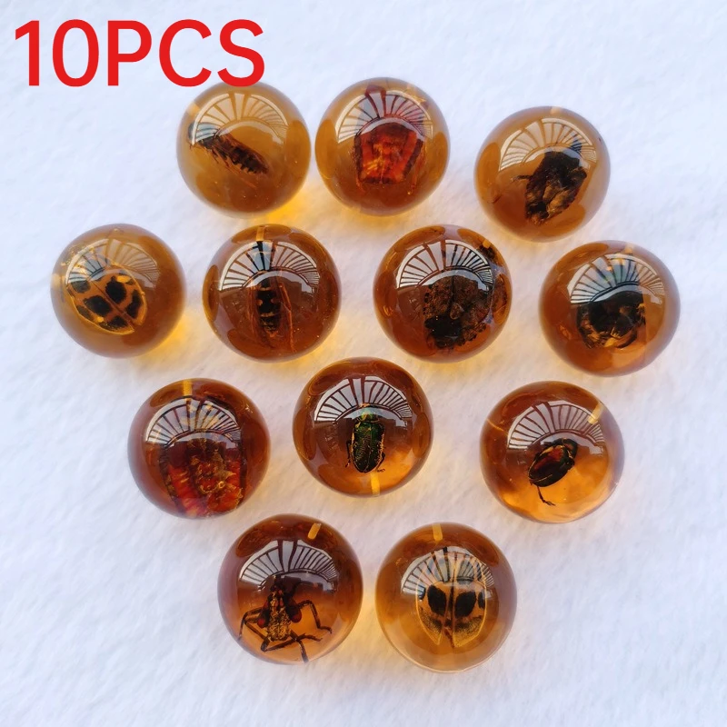 10Pcs Small Round Resin Beads Insect Amber Sphere Charms For Jewelry Making
10Pcs Small Round Resin Beads Insect Amber Sphere Charms For Jewelry Making