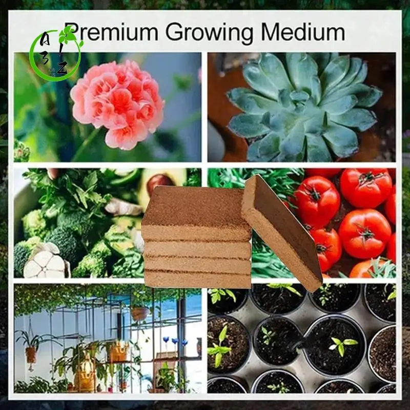 A31Z-Organic Coconut Fiber For Plants, Organic Coconut Bricks, Natural Organic Compressed Coconut
A31Z-Organic Coconut Fiber For Plants, Organic Coconut Bricks, Natural Organic Compressed Coconut