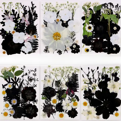 22-25PCS Set Black Series Dried Flowers for DIY Resin Jewelry Making Natural Real Pressed Flower Leaves Craft Bookmark Supplies