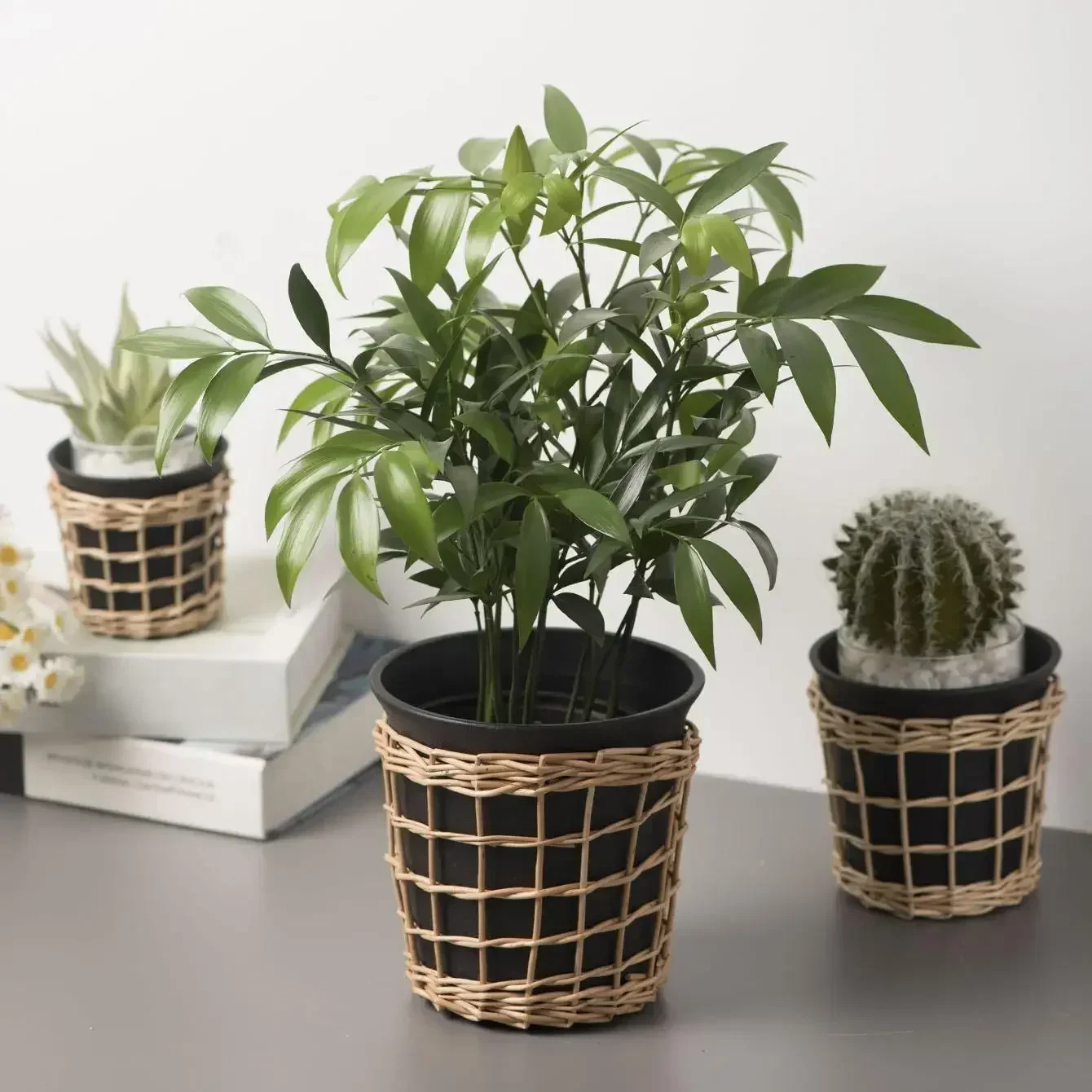 Hand-woven Flower Pot Imitation Rattan Modern Simple Flower Tray Indoor Desktop Multi-size Plant Pot Black Plastic Flower Pot
Hand-woven Flower Pot Imitation Rattan Modern Simple Flower Tray Indoor Desktop Multi-size Plant Pot Black Plastic Flower Pot