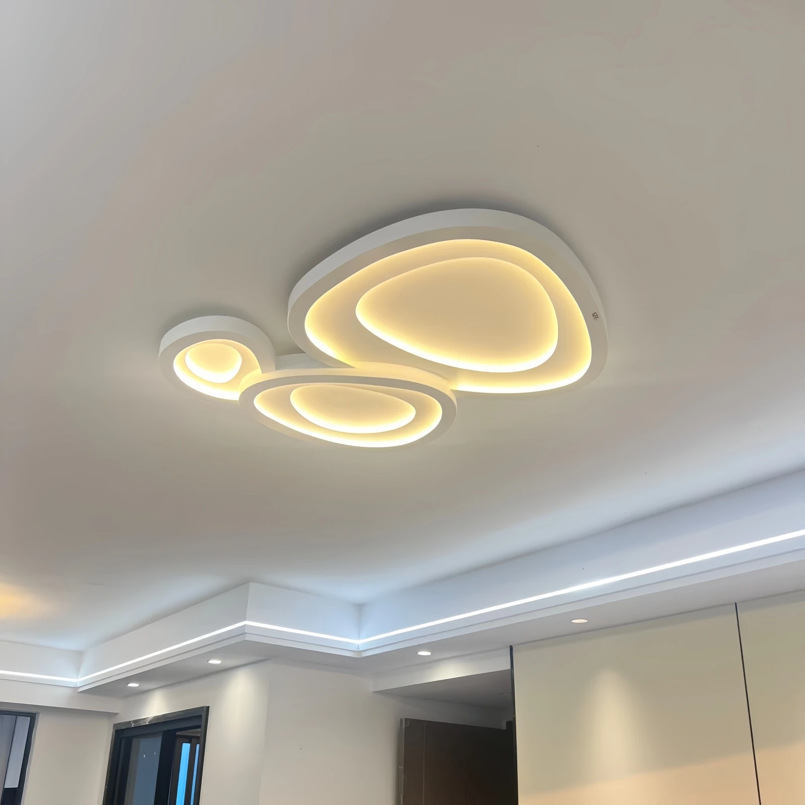 Modern Irregular LED Ceiling Lamp Minimalist Intelligent Eye Protection Ceiling Light Creative Luminaire For Bedroom Living Room
Modern Irregular LED Ceiling Lamp Minimalist Intelligent Eye Protection Ceiling Light Creative Luminaire For Bedroom Living Room