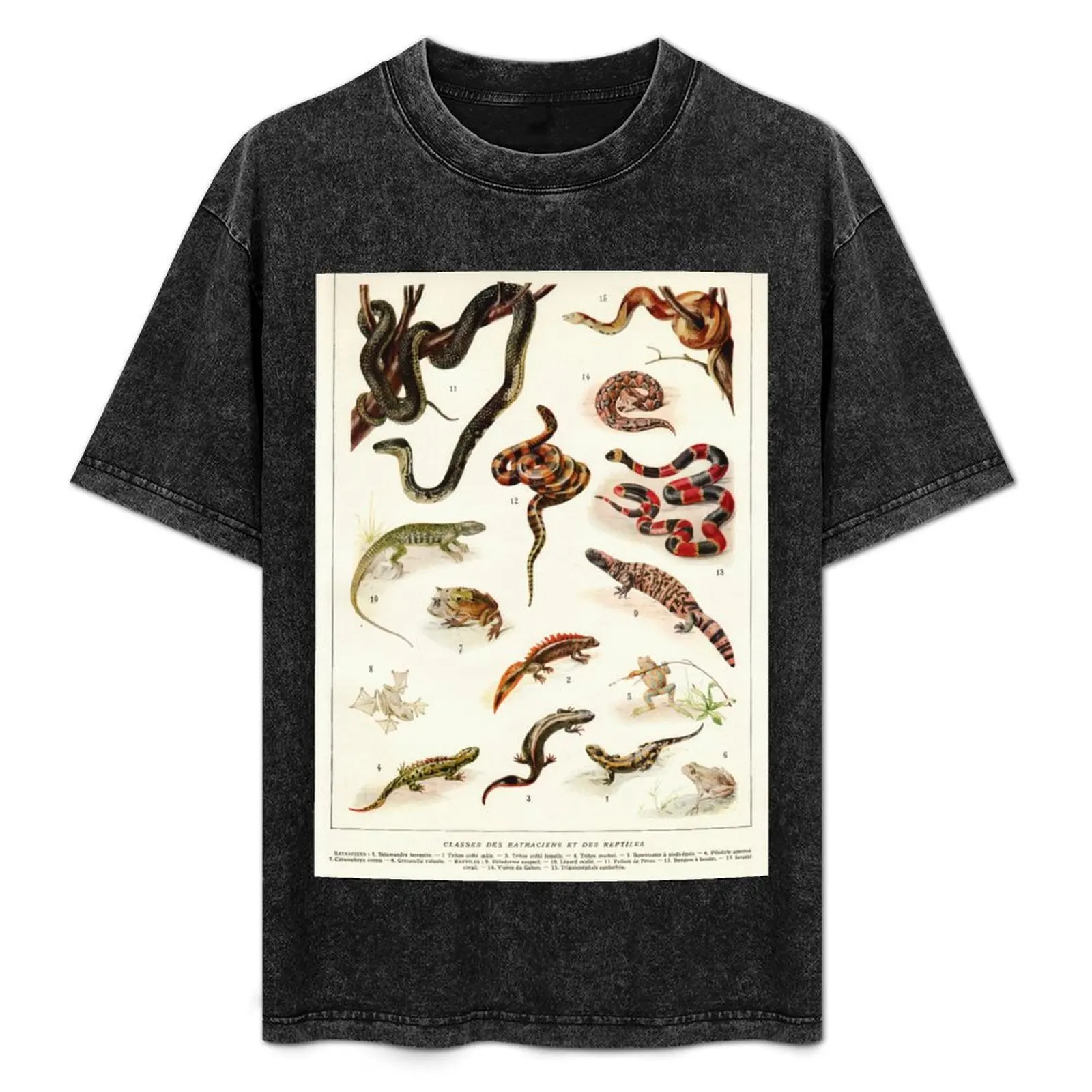 Adolphe Millot - Batraciens et reptiles - French vintage zoology poster T-Shirt Fitness Training Breathable Tee
Adolphe Millot - Batraciens et reptiles - French vintage zoology poster T-Shirt Fitness Training Breathable Tee