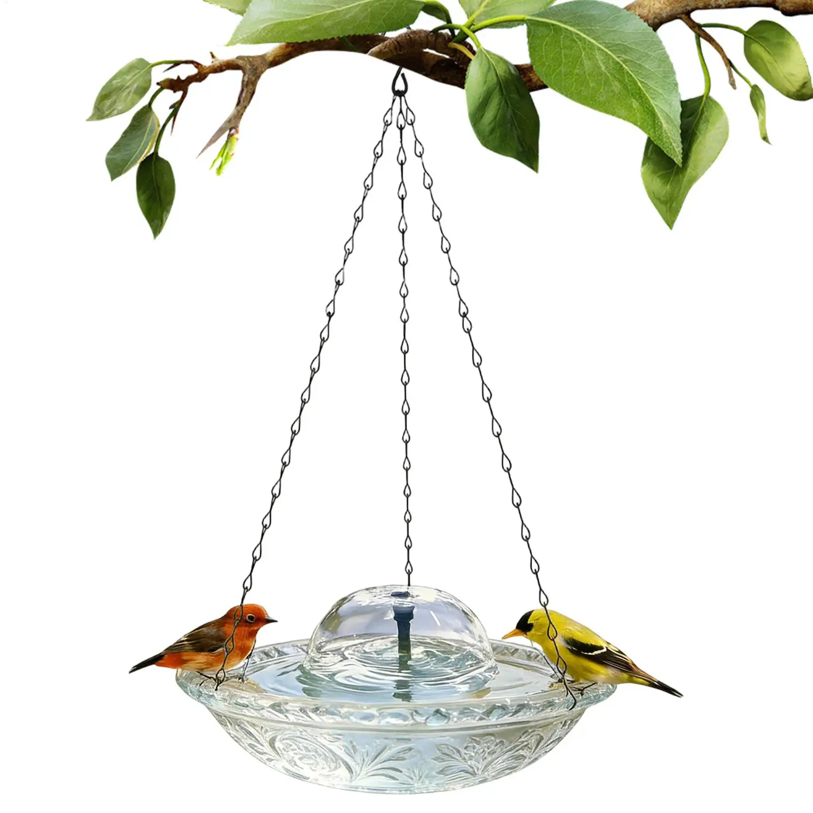 Bird Fountain Water Feeder USB-powered Hanging Bird Bath Fountain Waterfall Outdoor Fountain Glass Bowl Hummingbird Feeder
Bird Fountain Water Feeder USB-powered Hanging Bird Bath Fountain Waterfall Outdoor Fountain Glass Bowl Hummingbird Feeder