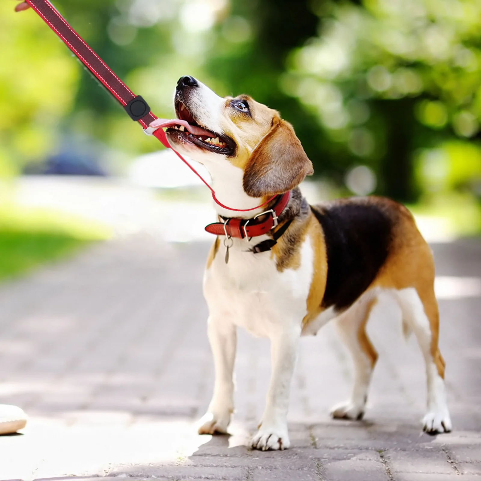 Training Lead Leashes Slip Dog Leash With Handle No Pull Dog Leash For Safe Walking And Training Suitable For All Training
Training Lead Leashes Slip Dog Leash With Handle No Pull Dog Leash For Safe Walking And Training Suitable For All Training