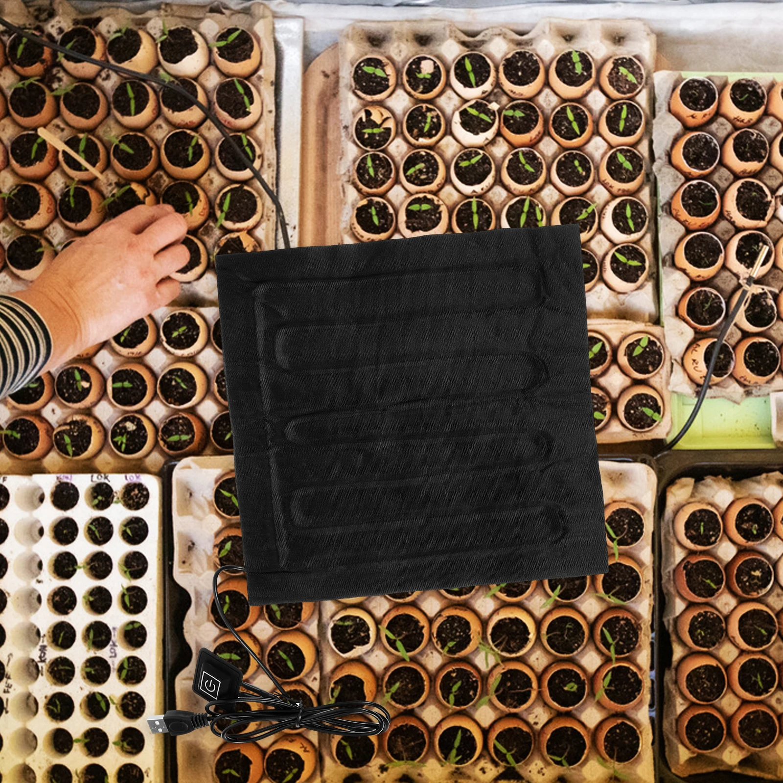 USB Heating Pad for Plants Germination Heat Mat Adjustable Temperature Digital Thermostat Controller DIY Accessory
USB Heating Pad for Plants Germination Heat Mat Adjustable Temperature Digital Thermostat Controller DIY Accessory