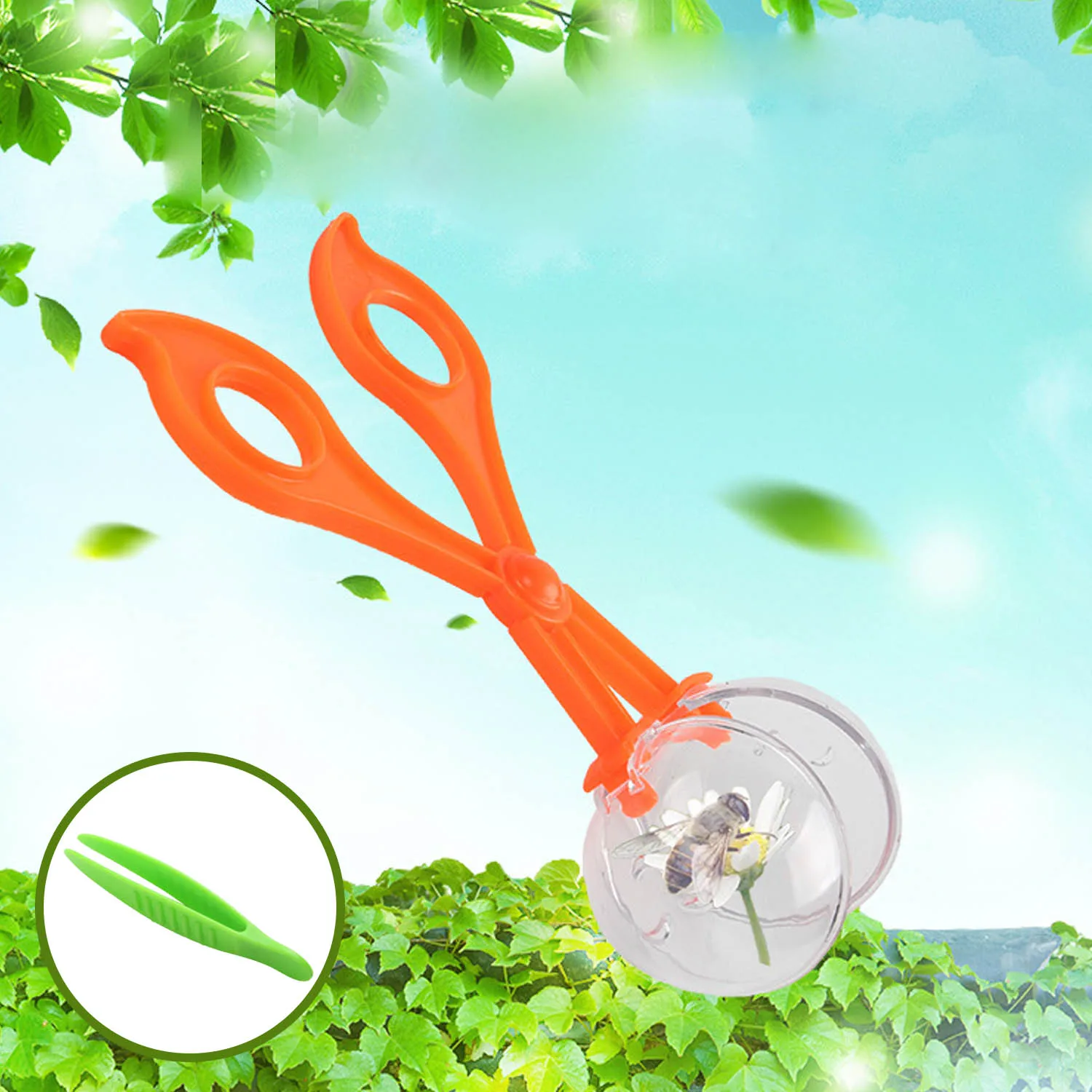Kid Nature Exploration 1PCS Scissor Clamp with Transparent Ball Tweezers Insect Study Tool for Kids Early Education Research Toy
Kid Nature Exploration 1PCS Scissor Clamp with Transparent Ball Tweezers Insect Study Tool for Kids Early Education Research Toy