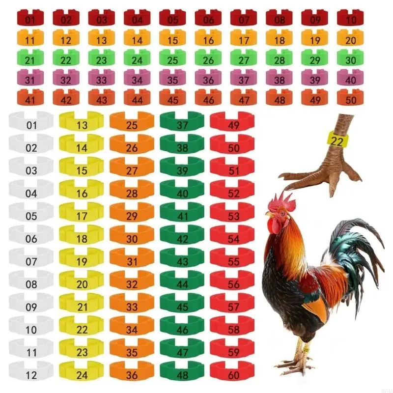 100 Count Strong Plastic Foot Markers For Chickens And Ducks In 5 Different dyes 87HA
100 Count Strong Plastic Foot Markers For Chickens And Ducks In 5 Different dyes 87HA