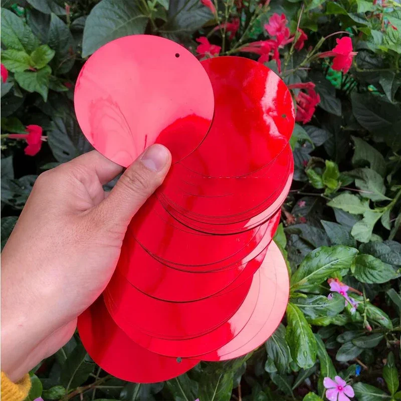 Weight 500g Cheap Wedding Decorate Wall Painting Clothes Latin Dance Stage Large Size 77mm Red Loose Round sequin
Weight 500g Cheap Wedding Decorate Wall Painting Clothes Latin Dance Stage Large Size 77mm Red Loose Round sequin