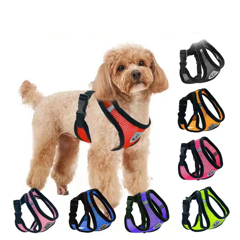 New Pet Chest Strap Outdoor Leash Puppy Collar Clothes Explosion-proof Rushing Supplies Teddy Leash four Seasons Universal
New Pet Chest Strap Outdoor Leash Puppy Collar Clothes Explosion-proof Rushing Supplies Teddy Leash four Seasons Universal