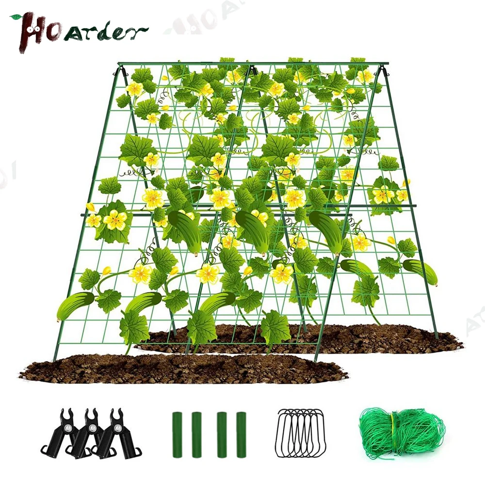 2026le A-Frame Garden Trellis Cucumber Vegetable Climbing Plant Grow Support Bracket with Netting and Fixing Clips xs63-fro
2026le A-Frame Garden Trellis Cucumber Vegetable Climbing Plant Grow Support Bracket with Netting and Fixing Clips xs63-fro