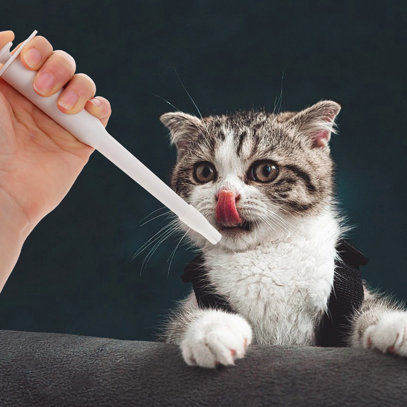 Plastic Pet Medicine Feeder White Portable Easy Clean Push Tube Design Prevent Choking Leakage Free Multi Function Pet Pills 
Plastic Pet Medicine Feeder White Portable Easy Clean Push Tube Design Prevent Choking Leakage Free Multi Function Pet Pills