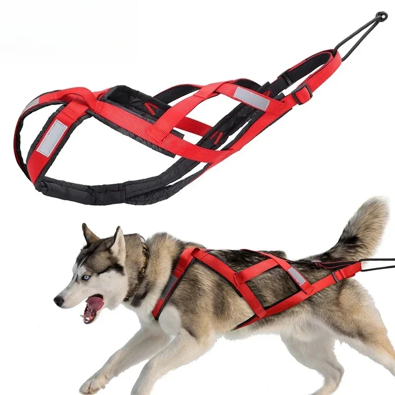 Husky Musk Sports Vest for Sport Pull Bike Riding Dog Sled Scooter Easy Control No Choke Pet Strap
Husky Musk Sports Vest for Sport Pull Bike Riding Dog Sled Scooter Easy Control No Choke Pet Strap